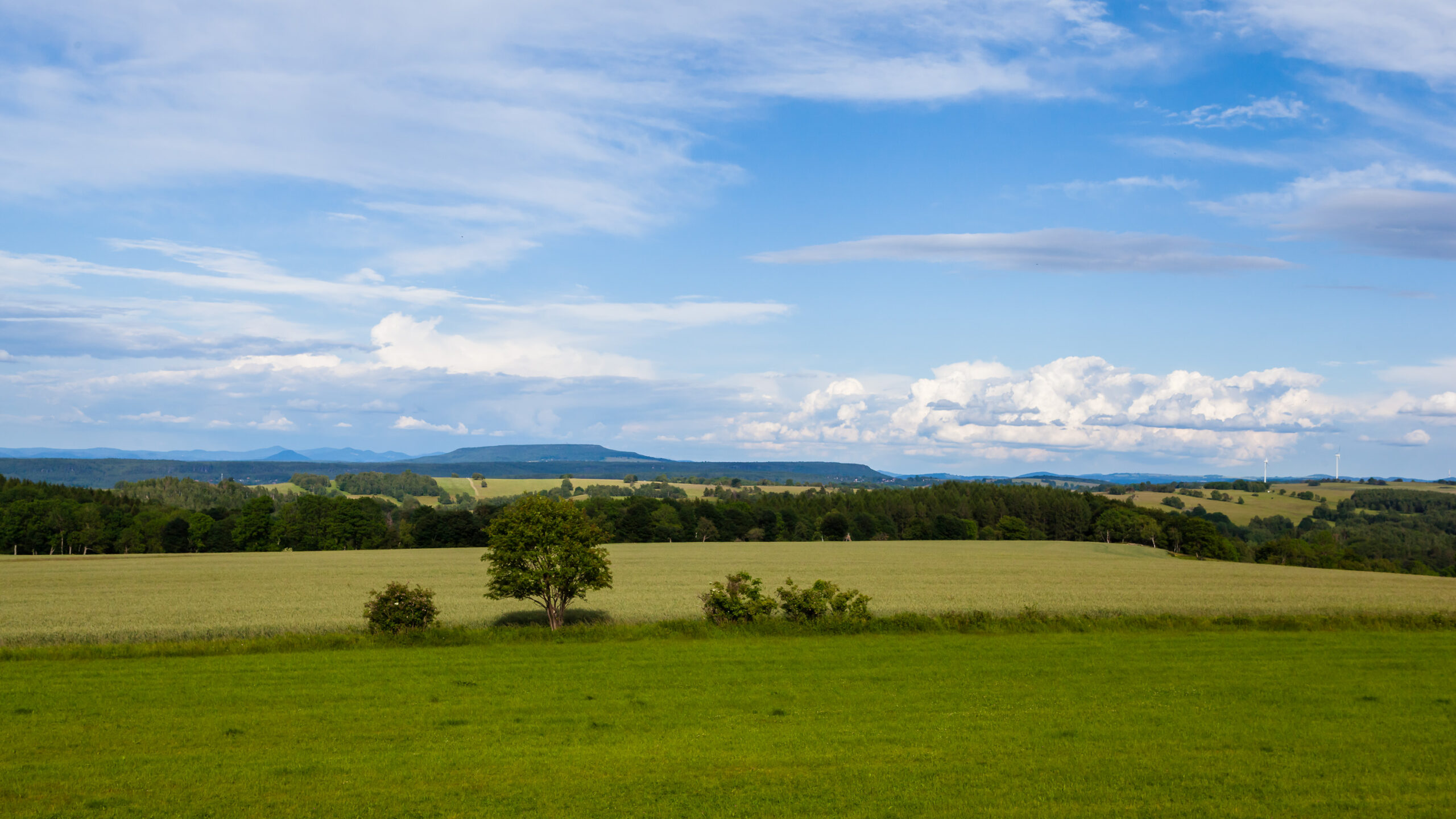 Blick von der Oelsner Höhe zum Schneeberg