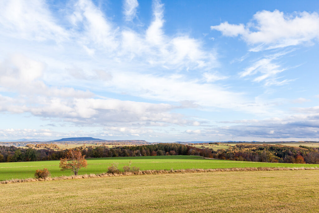 Blick von der Oelsner Höhe zum Schneeberg